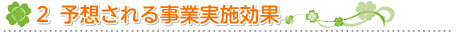 ２ 予想される事業実施効果